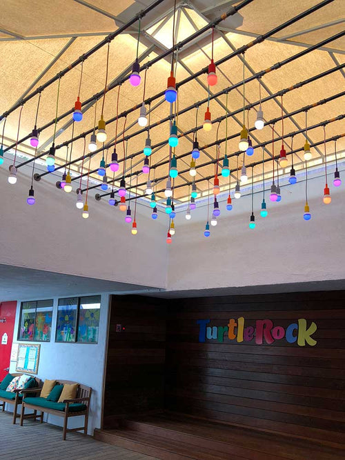 Custom Multi-Color Pendants  light fixture